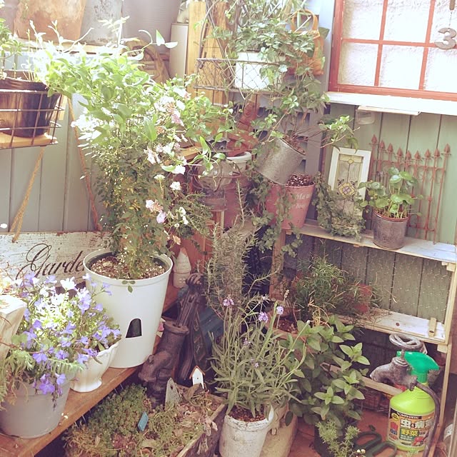mikiiiさんの実例写真