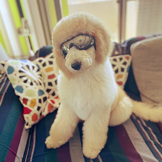 nackeyさんの実例写真
