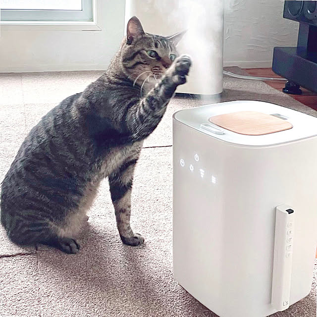 myuさんの実例写真