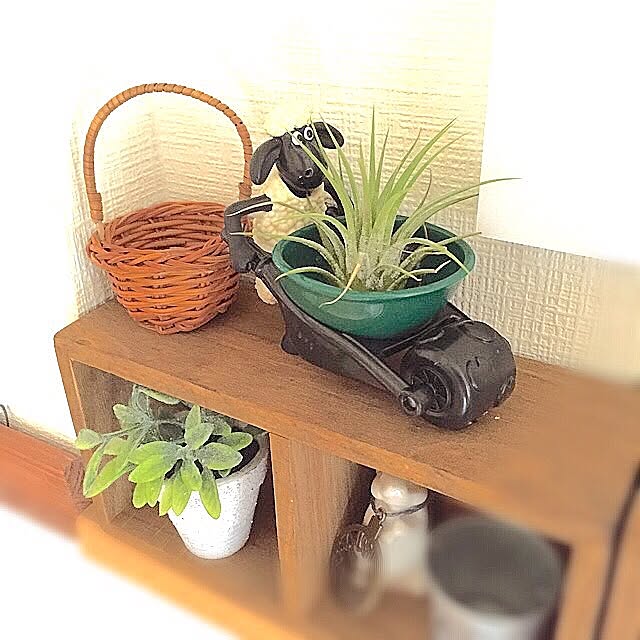 sayunさんの実例写真