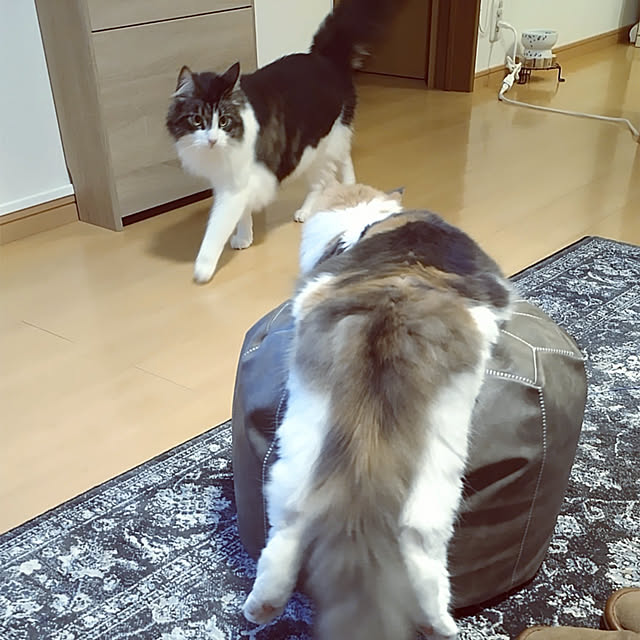 +CHIHARU+さんの実例写真