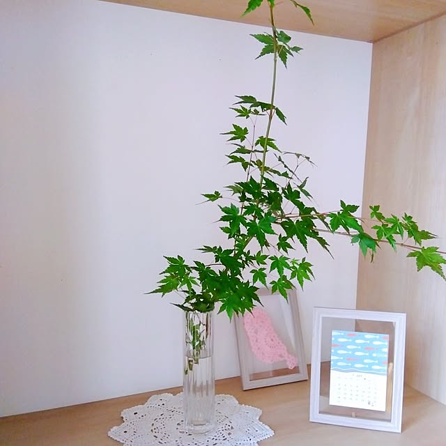 Motomeさんの実例写真