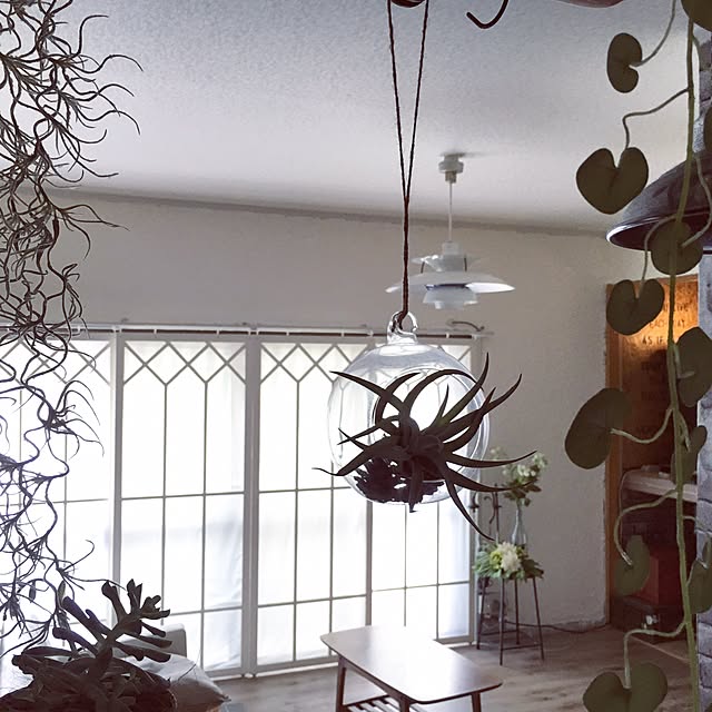 diez_taraさんの実例写真