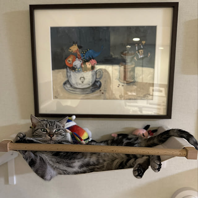 Yuki_with_a_tailさんの実例写真