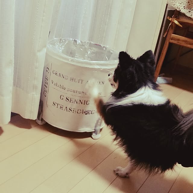 mmmさんの実例写真