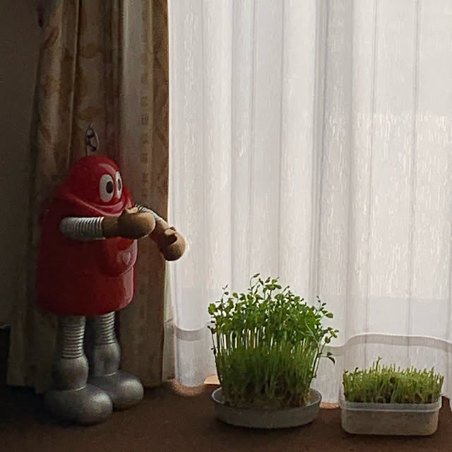 RoomClipアンケート/リビングのインテリア実例 - 2020-03-07 11:05:50