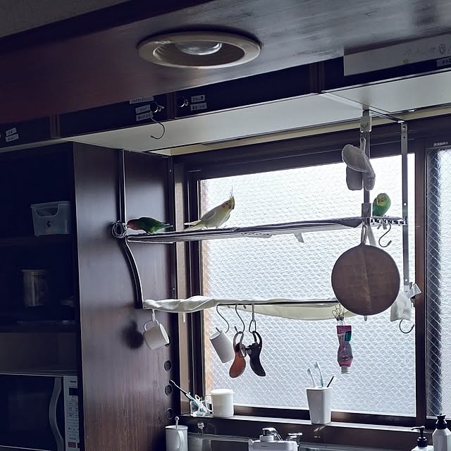 toratanさんの部屋