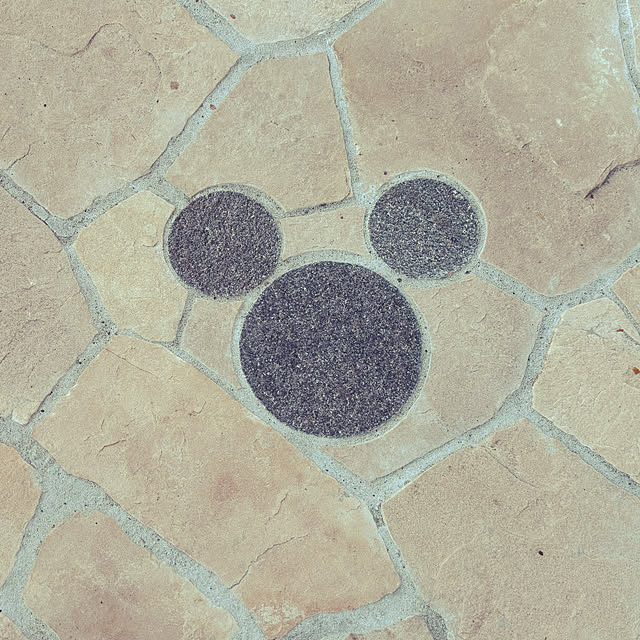 usakoさんの実例写真
