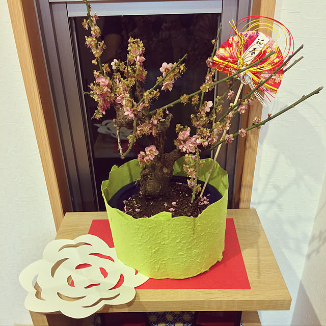 nacchi4さんの実例写真