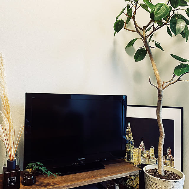 DIY/観葉植物/アンティーク/ドライフラワー/リビングのインテリア実例 - 2020-09-07 13:58:09