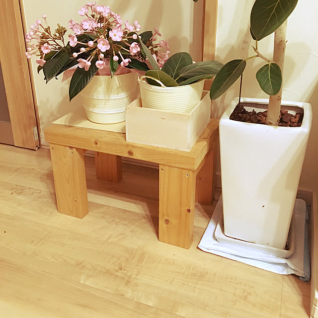 Sasaki Anaさんの実例写真