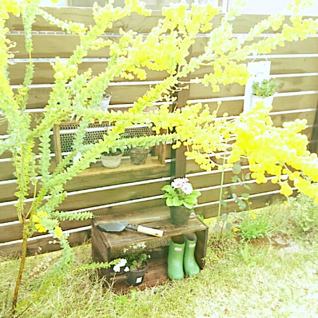 kosata117さんの実例写真