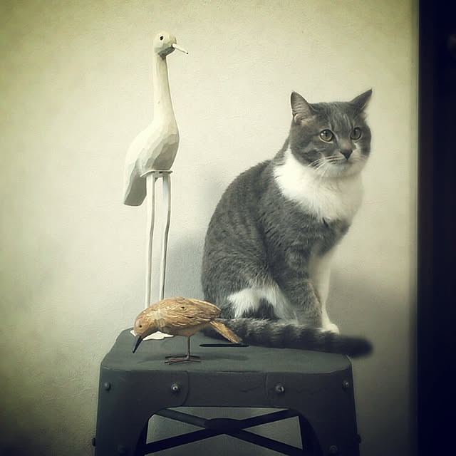 lovepandaさんの実例写真