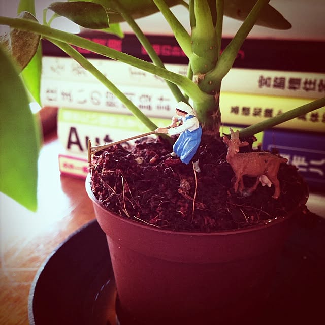 SRさんの実例写真