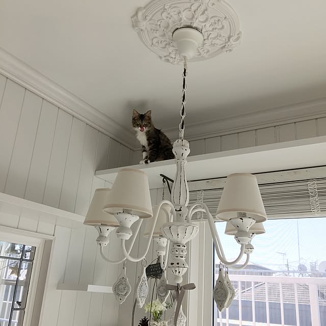 yuchiさんの実例写真