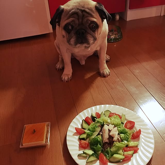 suguruさんの実例写真