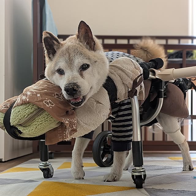 ponhanaさんの実例写真