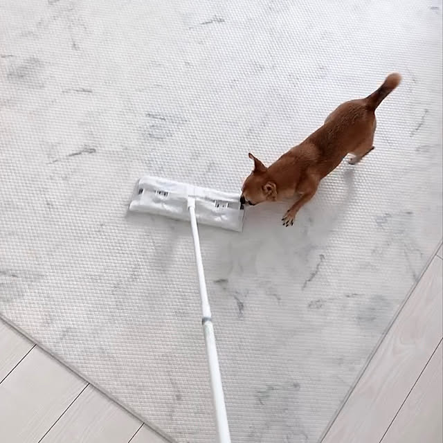 mariさんの実例写真
