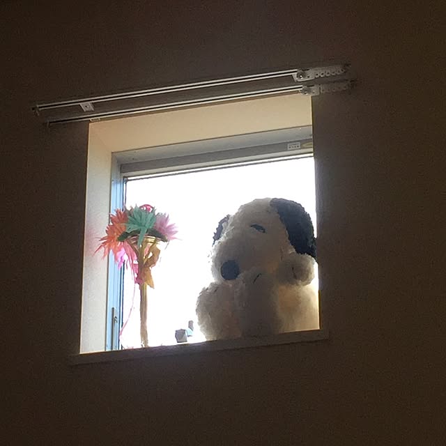 36さんの実例写真