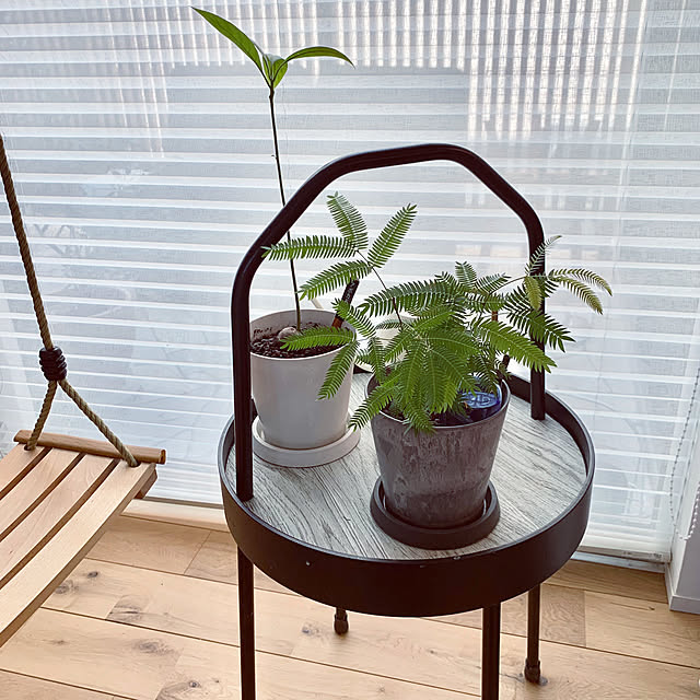 Minteaさんの部屋