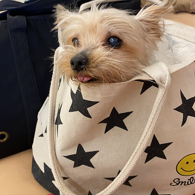 ohanaさんの実例写真