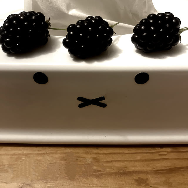 Ohigeさんの部屋