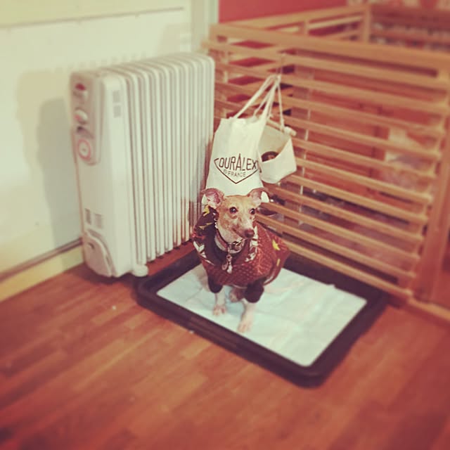 hokuroさんの実例写真