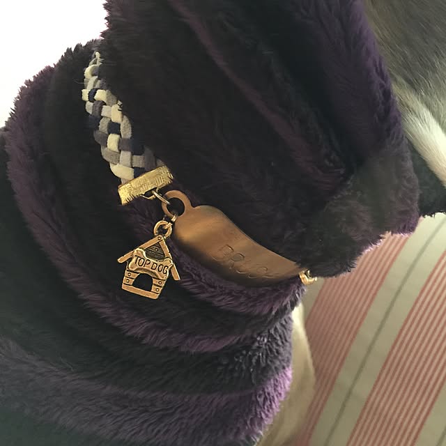 suzyさんの実例写真