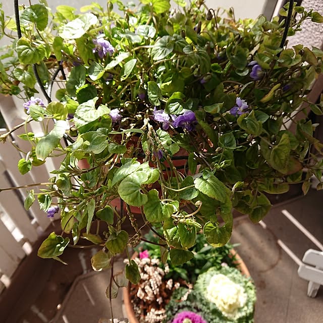 hopkeiさんの実例写真