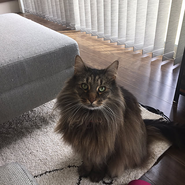 takiさんの実例写真