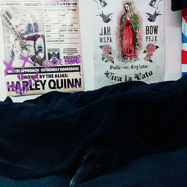 xxxpunk696さんの実例写真