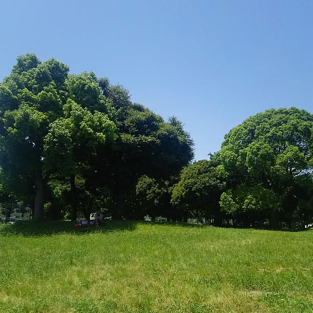 リビング/部屋じゃなくてゴメンなさい/公園もリビング化のインテリア実例 - 2017-06-04 12:07:18