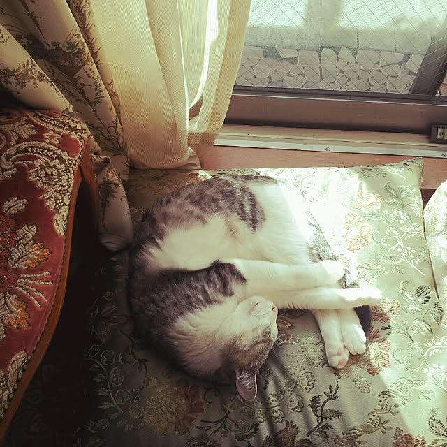 emmyyさんの実例写真