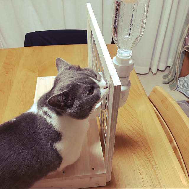 poporonさんの実例写真