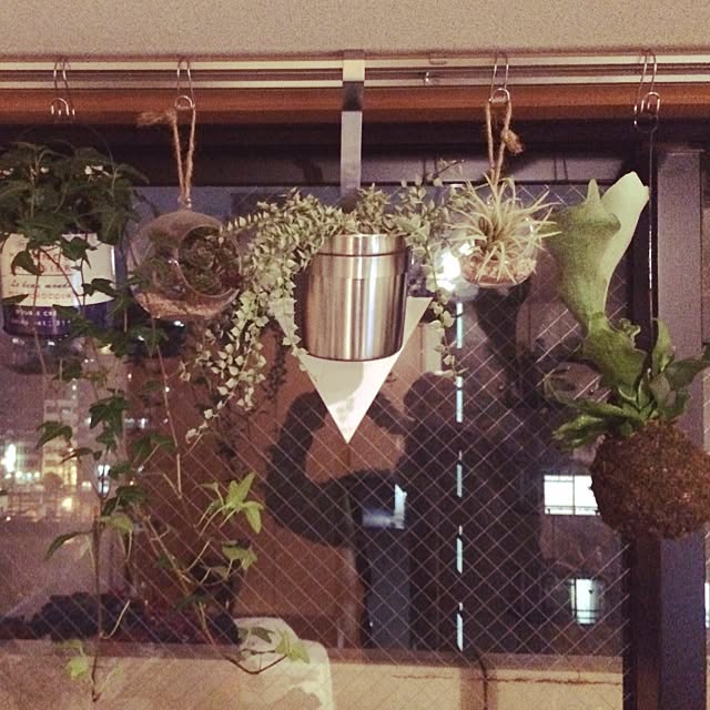 theloさんの実例写真
