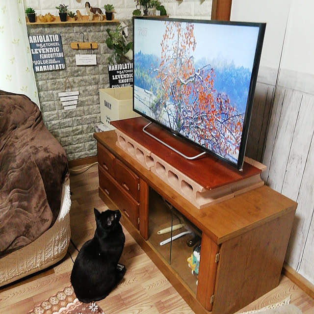 Tomopさんの実例写真
