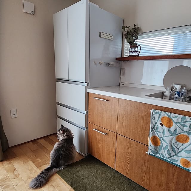 kossyさんの部屋