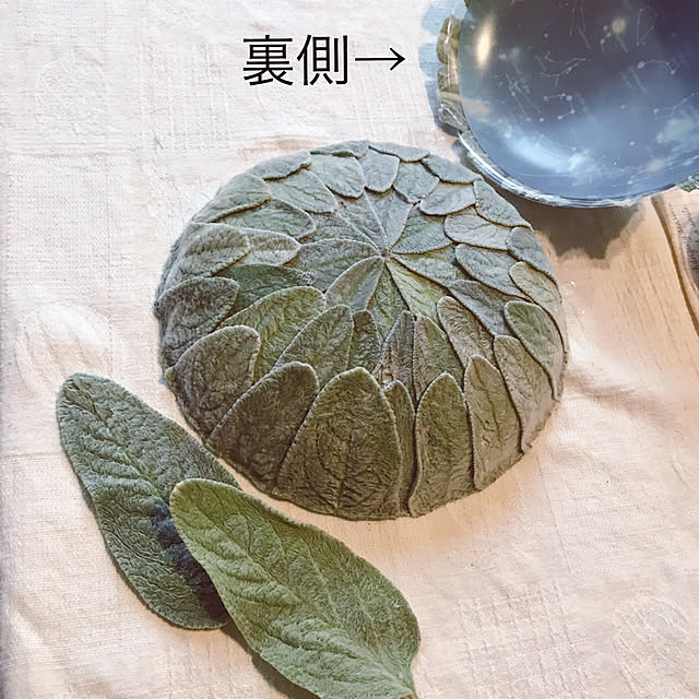 portulacaさんの実例写真