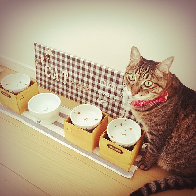 lovecatさんの実例写真