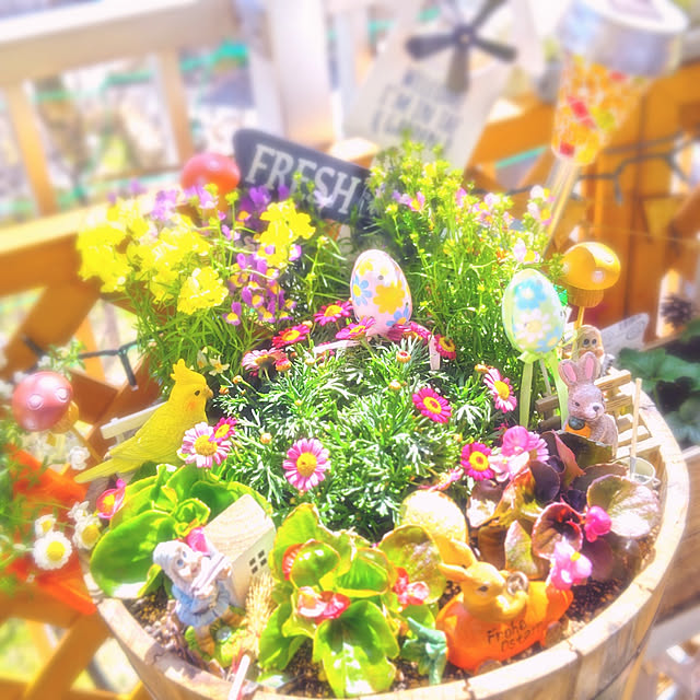 mariaさんの実例写真