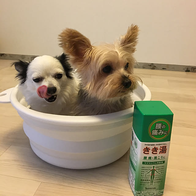 ohanaさんの実例写真