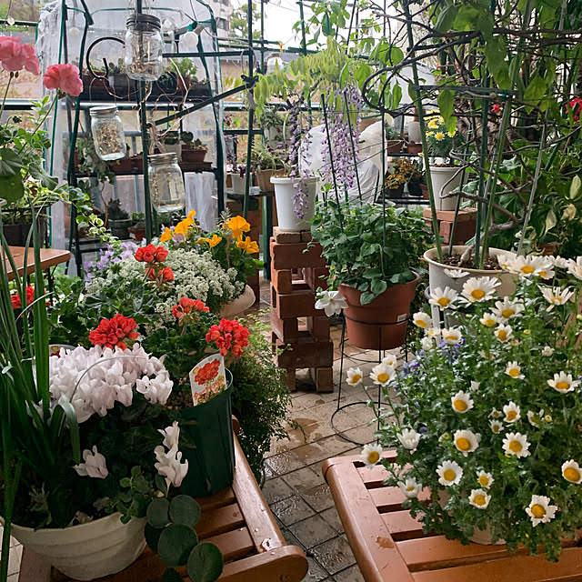 Aqettyさんの部屋