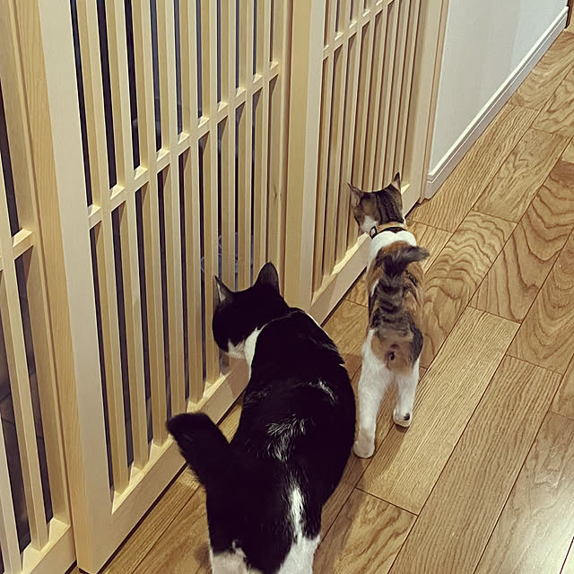 mieさんの部屋