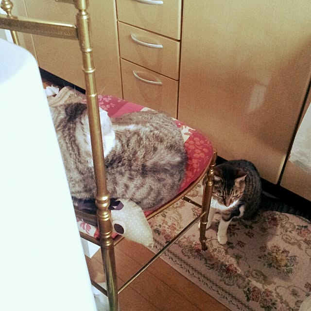 emmyyさんの実例写真