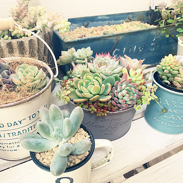 tomorinさんの実例写真