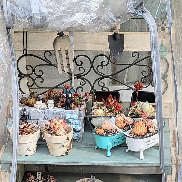 purpureさんの部屋