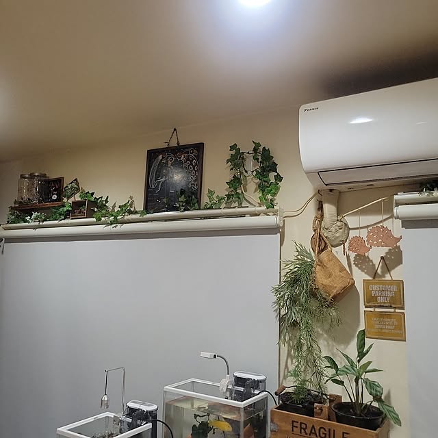 darumasan3021さんの実例写真