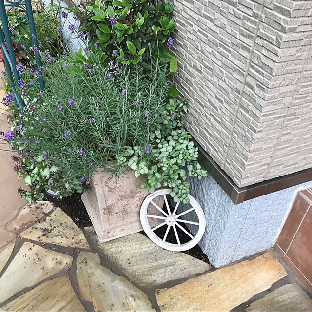 hashizoさんの実例写真