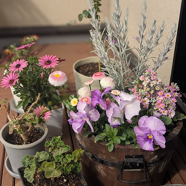 reeさんの部屋