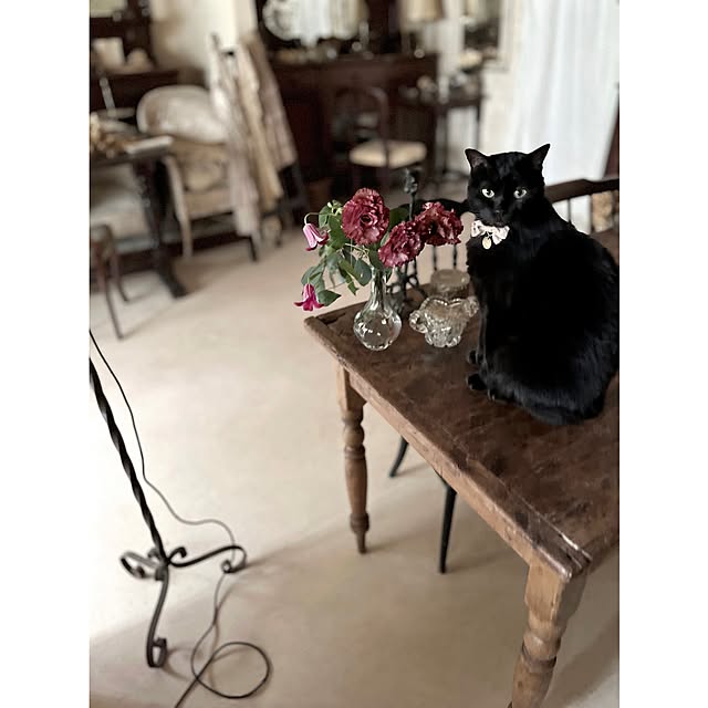 ローテーブル 白 ホワイト 折りたたみ 猫脚 ねこ脚 姫系 ローテーブル 白 ホワイト 折りたたみ 猫脚 ねこ脚 姫系